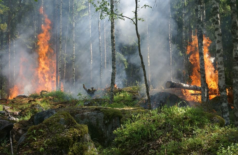 France Uses Big Planes to Fight Huge Wildfires