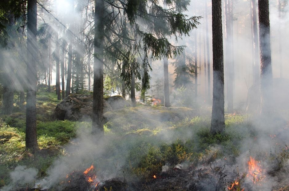 Large Wildfires Force 270,000 People to Leave Spain and France