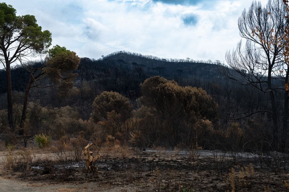 Crete Faces Unprecedented Wildfire Crisis