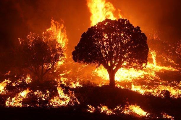 Technology Transforms Wildfire Detection and Response