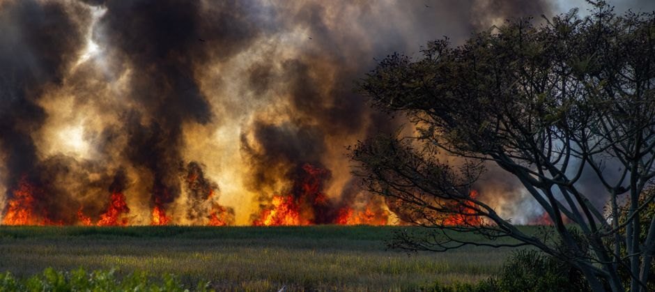 Europe's Wildfires Cost Billions, But Insurance Doesn't Cover It All