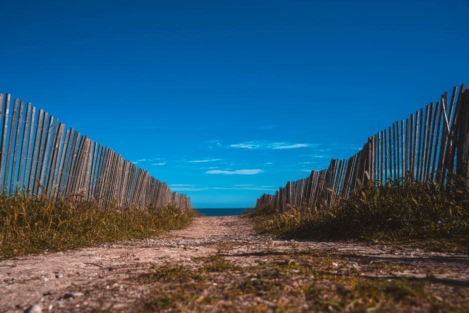 Social Media Posts About Crossing the Border