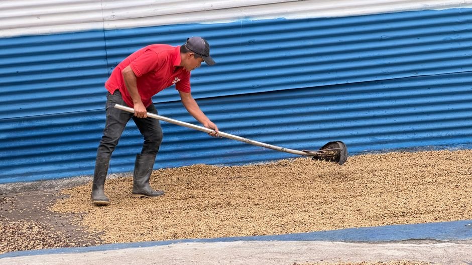 Why Your Coffee Costs More Than Ever