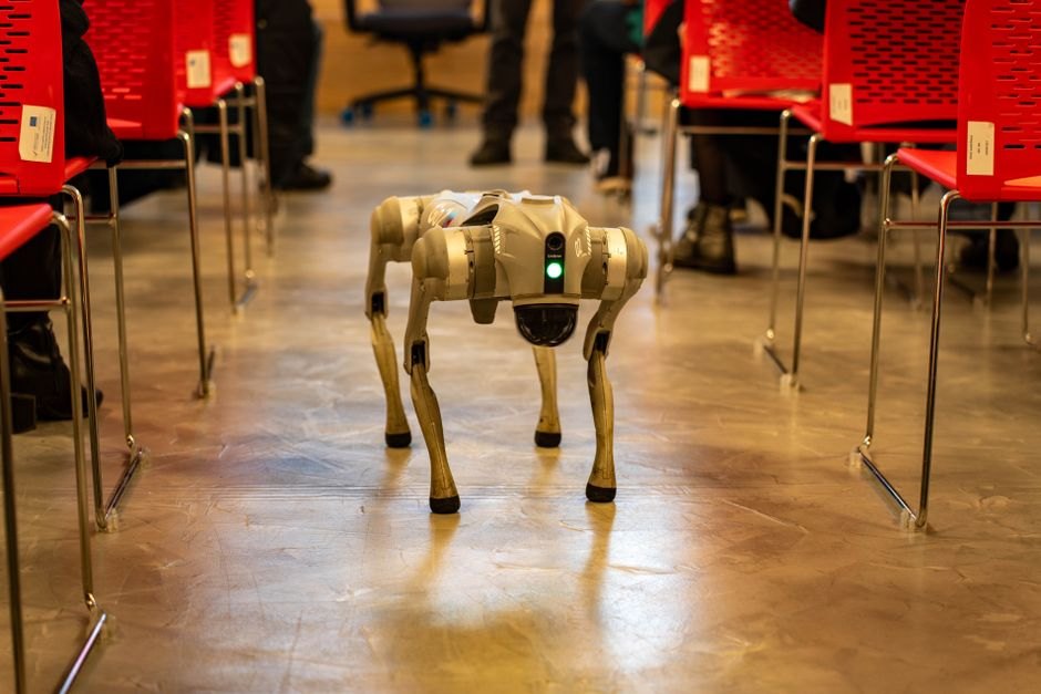 King Charles Warns About AI Safety Risks