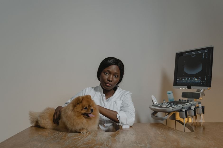 Vet Prices Get New Rules