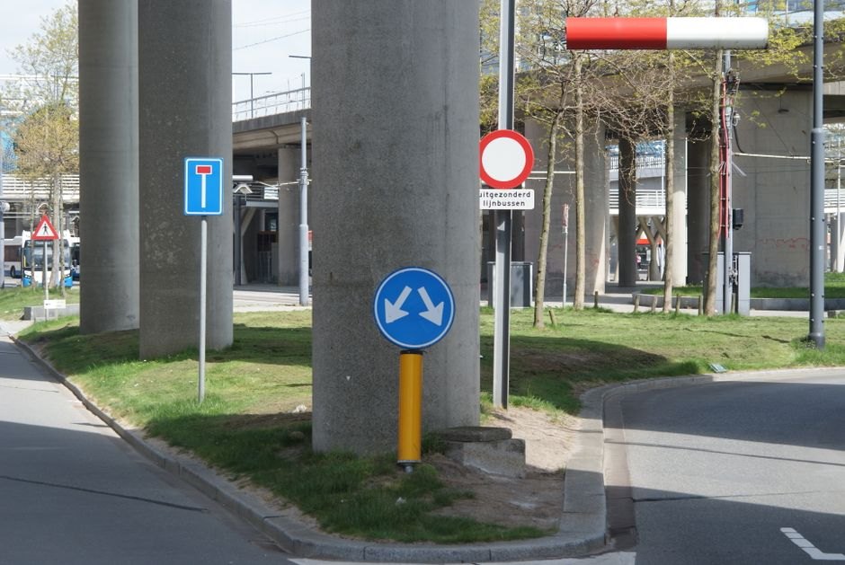 Dutch Language Gets a New, Kinder Word